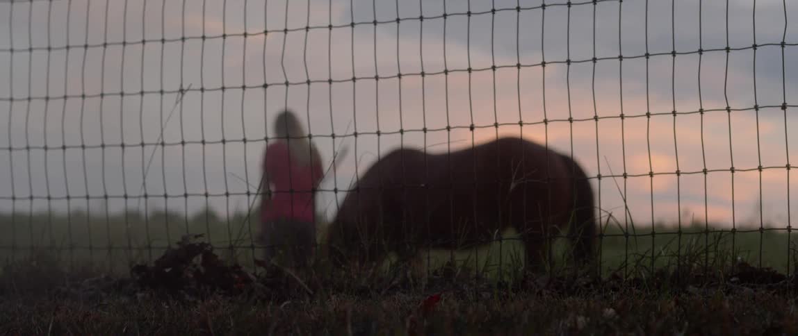 A woman petting a horse behind a fence