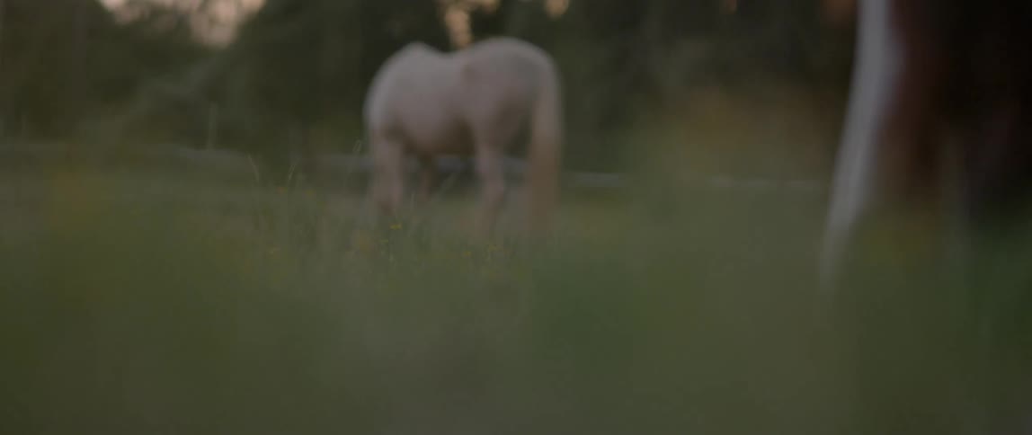 Woman Spending Time With Horses