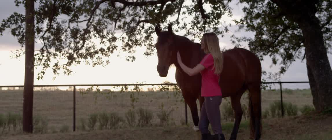 Woman pets side of horse outside at sunset