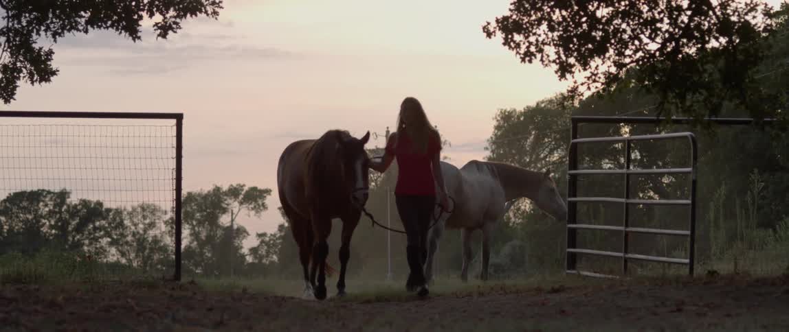 A woman leads a horse on a ranch at sunset
