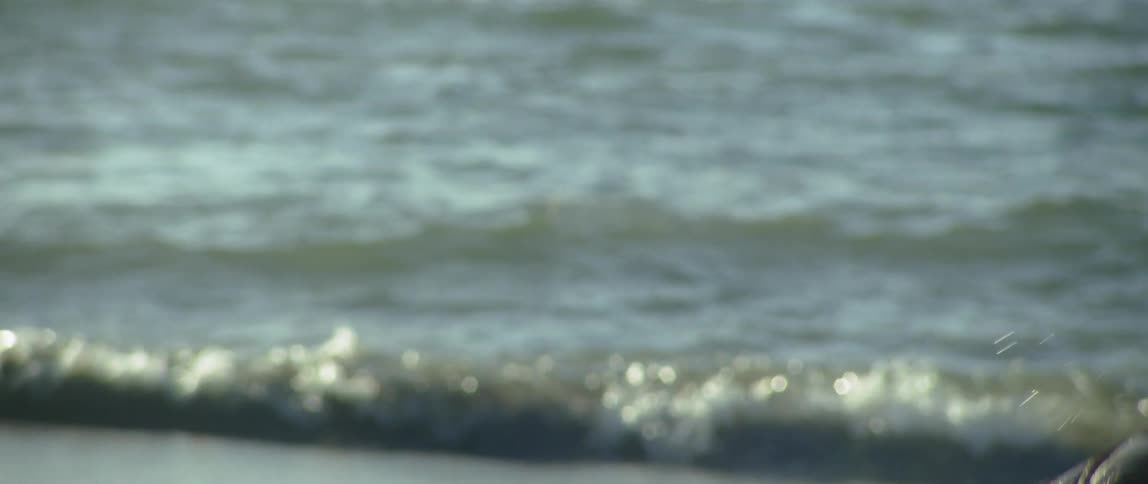 Couple On The Beach And In The Ocean