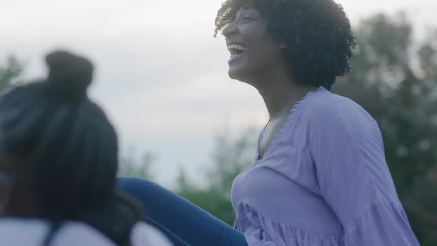 A family laugh and talk at a picnic