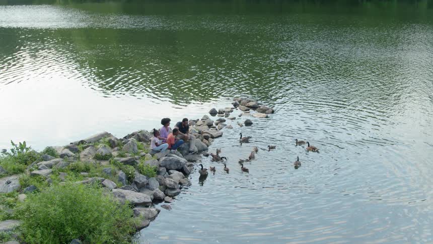 Family sit on stones and feed ducks by lake during the daytime