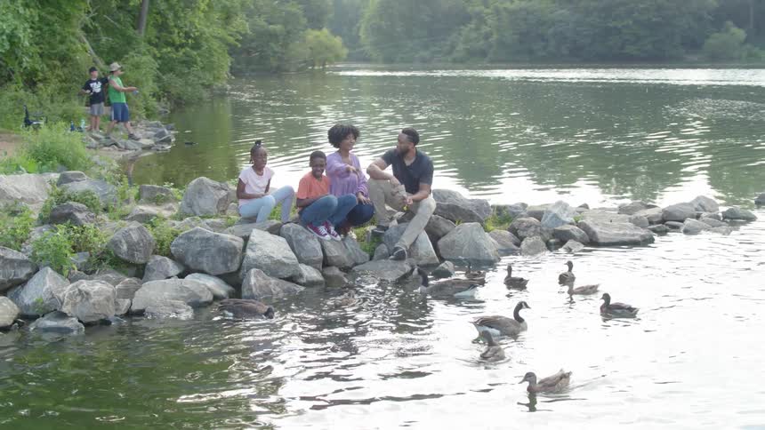 Family sits on a bed of rocks feeding ducks in the water