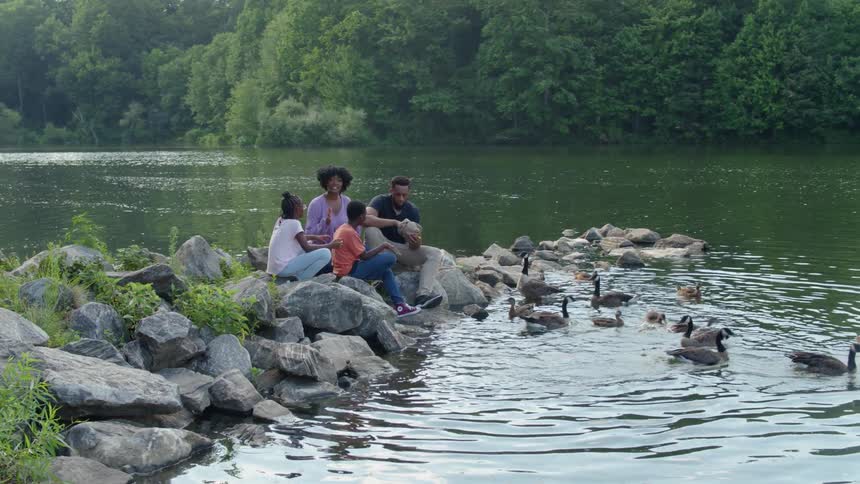 A family sits on the rocks and feeds the ducks