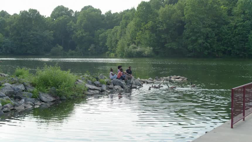 A family sits by a lake feeding ducks