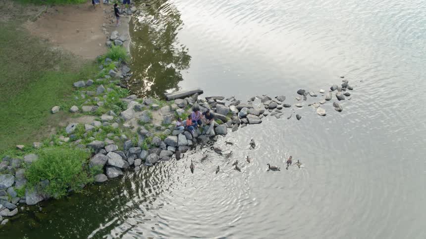 People sit on rocky shore feeding ducks