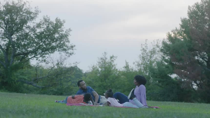 A black family resting on a picnic blanket in a meadow