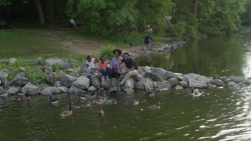 Family sit on rocks and feed ducks in a lake