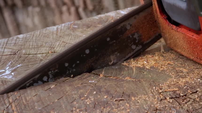 A saw is cutting wood