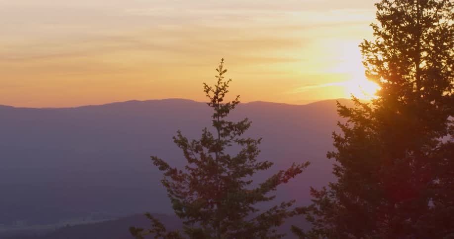 The wind blows the trees near the mountain