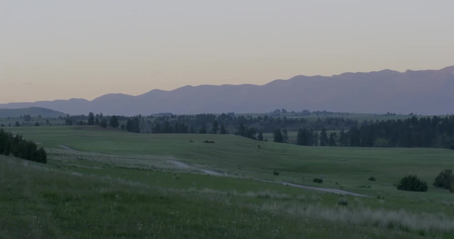 Something moving on a road next to a calm field