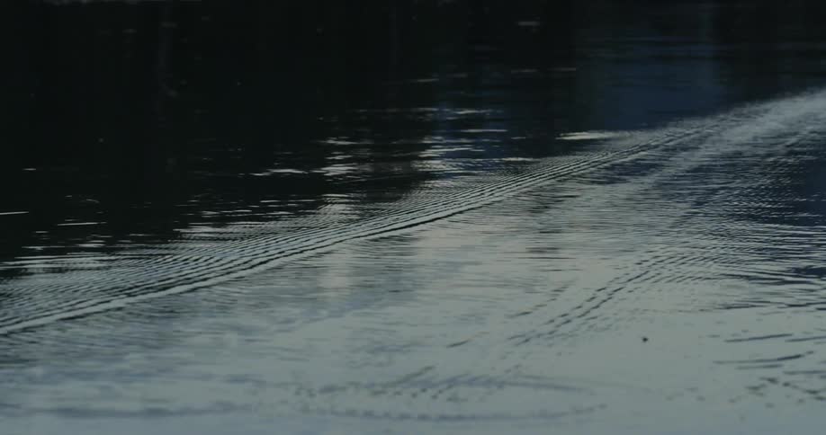 A fishing line floats on a river