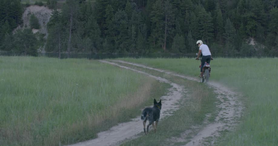 A dog runs behind a bicyclist on a rural dirt road