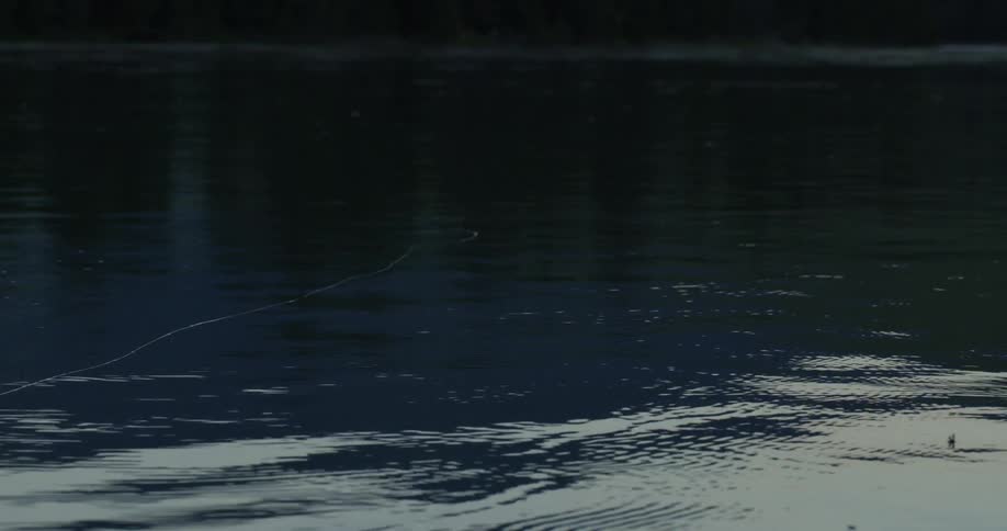A person fly fishing