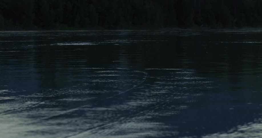 Waves are moving in the water