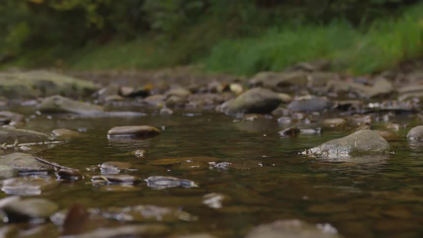 Water is moving between the rocks outside