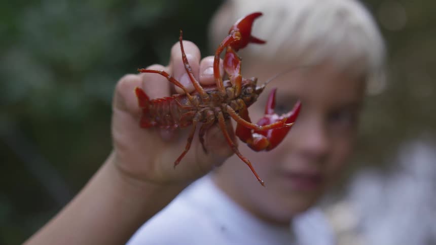 A boy holding a crayfish in his hand