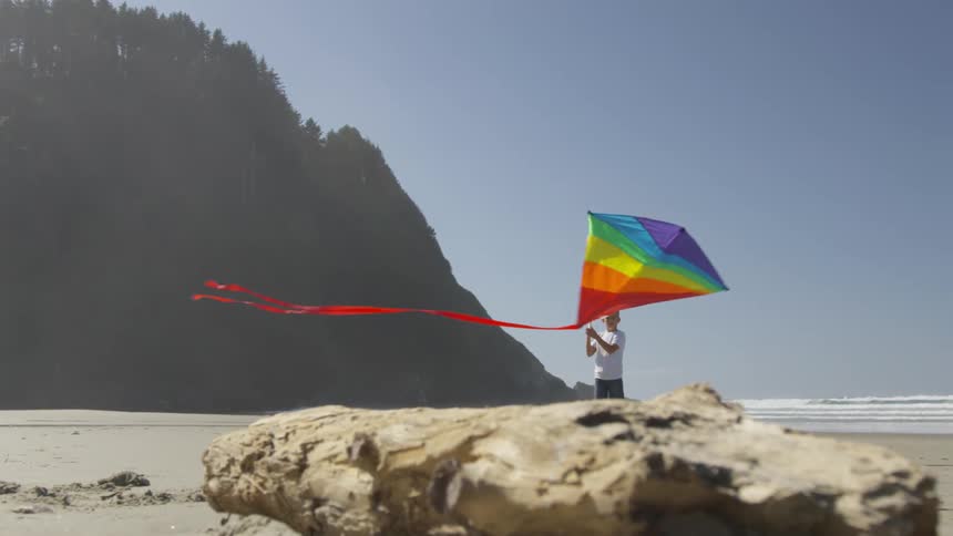 A child is flying a rainbow kite on the beach