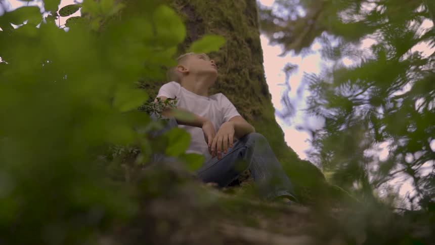 A young boy looks around while leaned against a tree