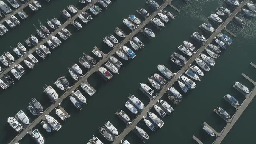 Dozens of boats moored at a marina