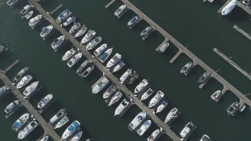 Boats docked in a marina during the day