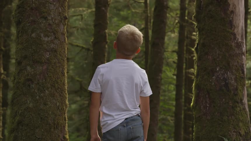 A young boy looks up at trees in a forest