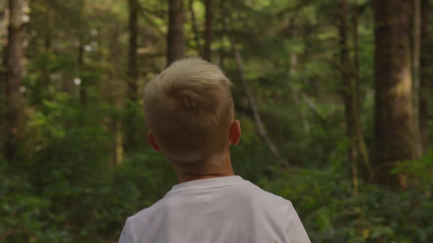 A blond boy walks on a forest path