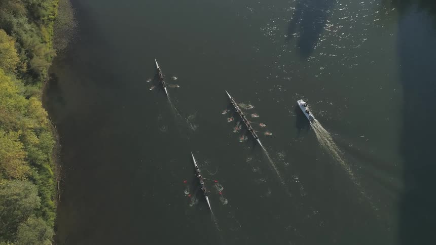 Long boats being paddled by many people with a spotter boating along side