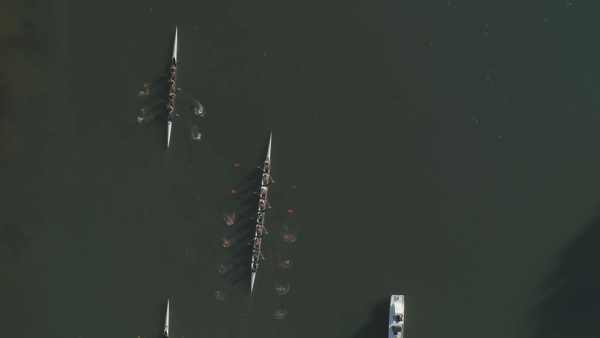 Teams of people row boats through a body of water