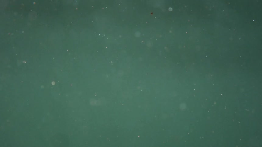 Looking at bubbles rising from underwater