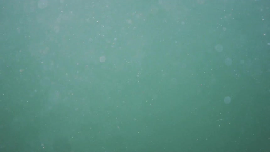 Underwater camera catching bubbles blowing past