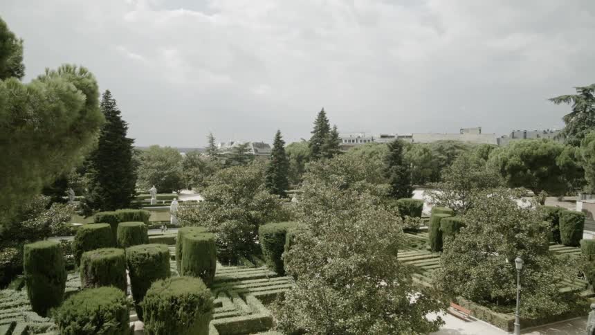 Unique shapes cut into shrubs in a park setting