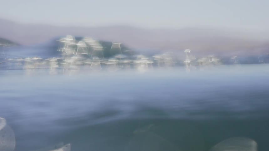 Fishermen In The Gulf Of California