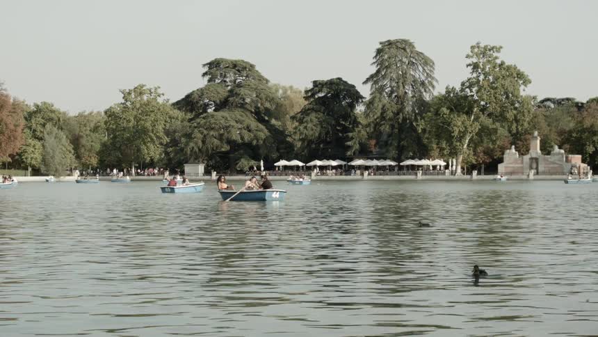 Ducks and boaters paddling on a small lake