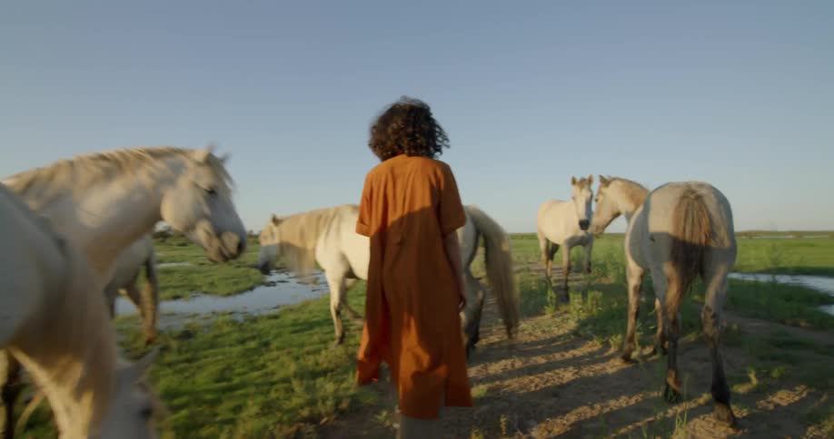 Friends Hang With Horses And Watch The Sunset At The Beach