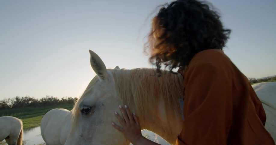 A woman hugs and pets a white horse