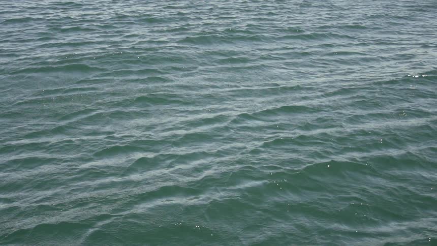 Waves ripple and flow on an ocean