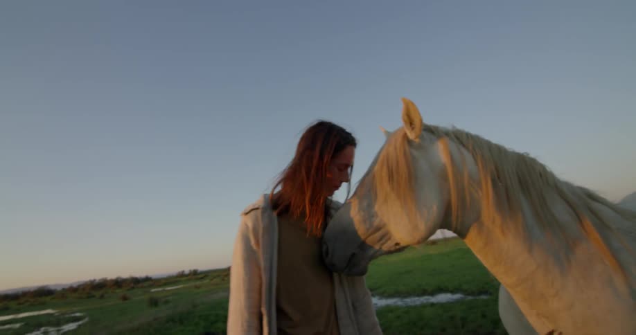 A person is petting a horse outdoors