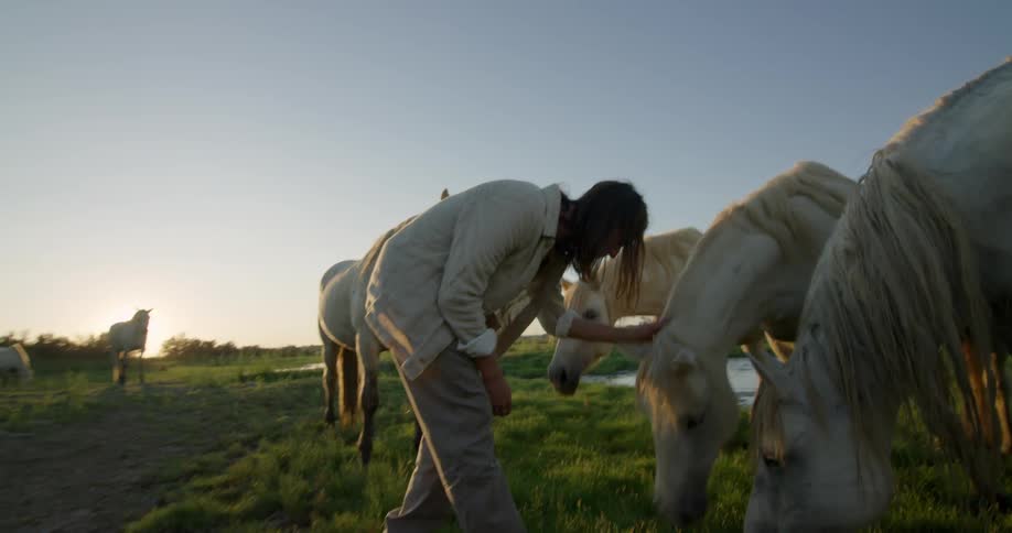 A man pets horses standing in a field near a stream