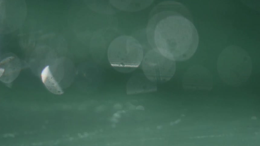 Fishermen In The Gulf Of California