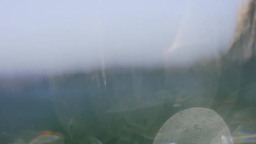 Fishermen In The Gulf Of California