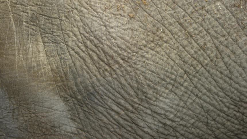 Close up view of worn leather