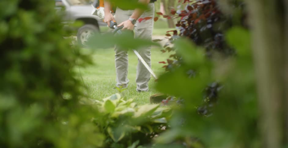 A man trims grass in a front yard