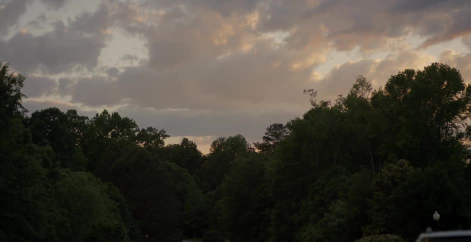 A car drives past trees at sunset