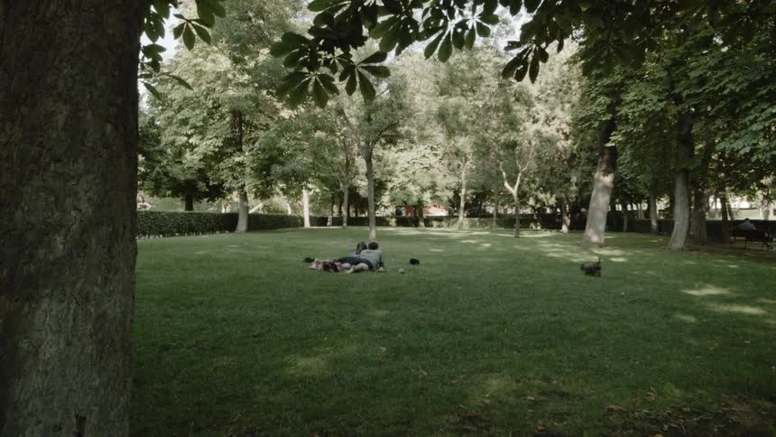 A couple relaxes with a dog on a lawn