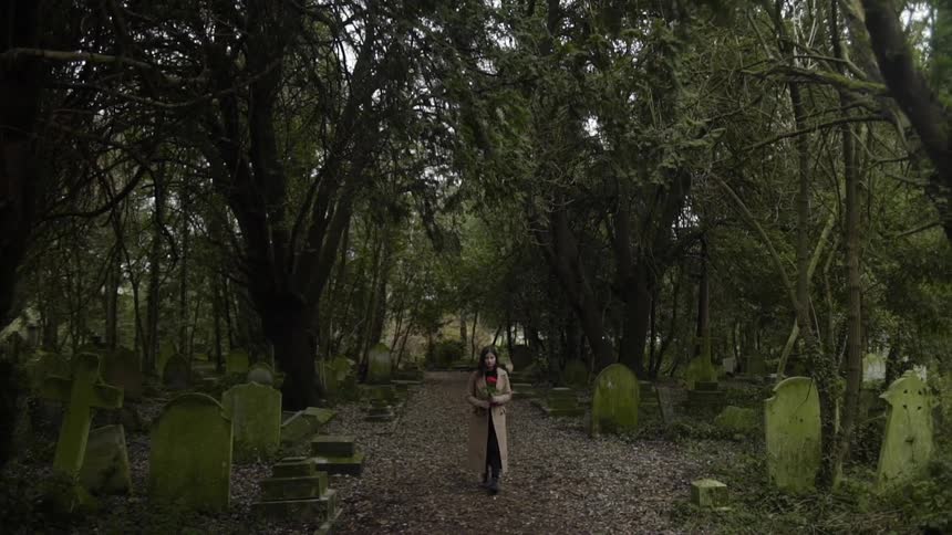 Woman In Cemetery