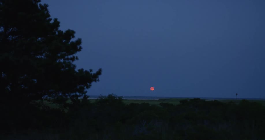 A red circle of light sits in the sky above the horizon at dusk as trees sway in the wind