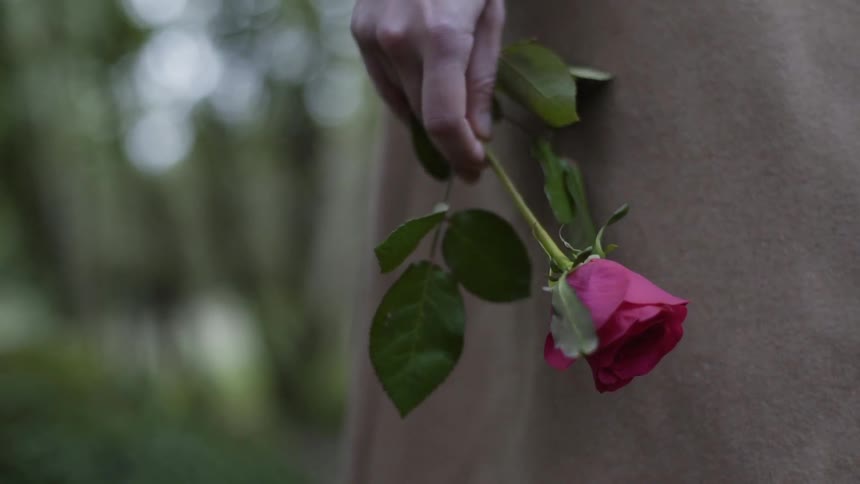 A person holding a pink rose outside