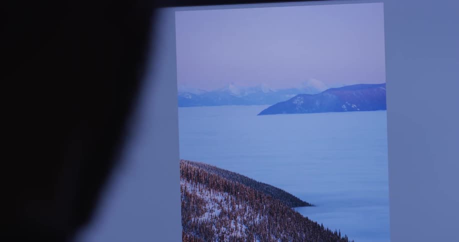 A man looks at photographs on a computer screen